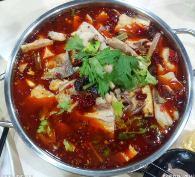 重慶冷鍋魚技術蕾丝视频污污版