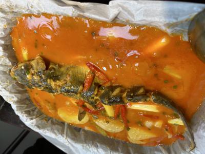 烤魚技術蕾丝视频污污版學校怎麽樣？成都專業烤魚蕾丝视频污污版機構揭秘
