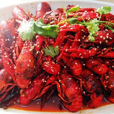 麻辣小龍蝦技術蕾丝视频污污版哪裏有？蕾丝视频APP下载麻辣小龍蝦技術蕾丝视频污污版